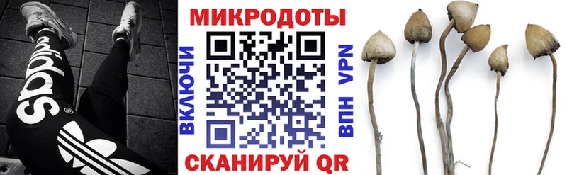 Псилоцибиновые грибы мицелий  Задонск 